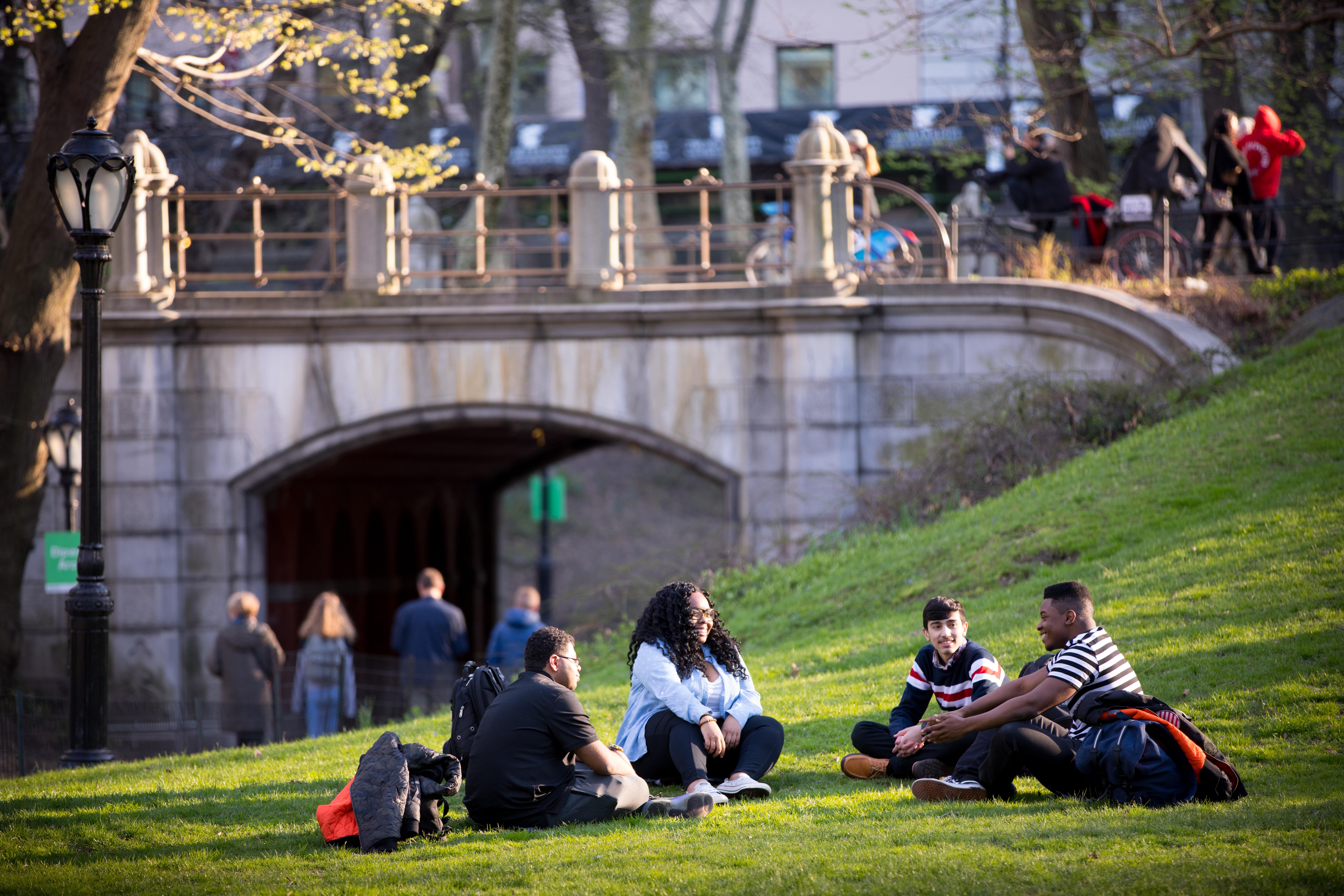 Navigating the College Application Process 