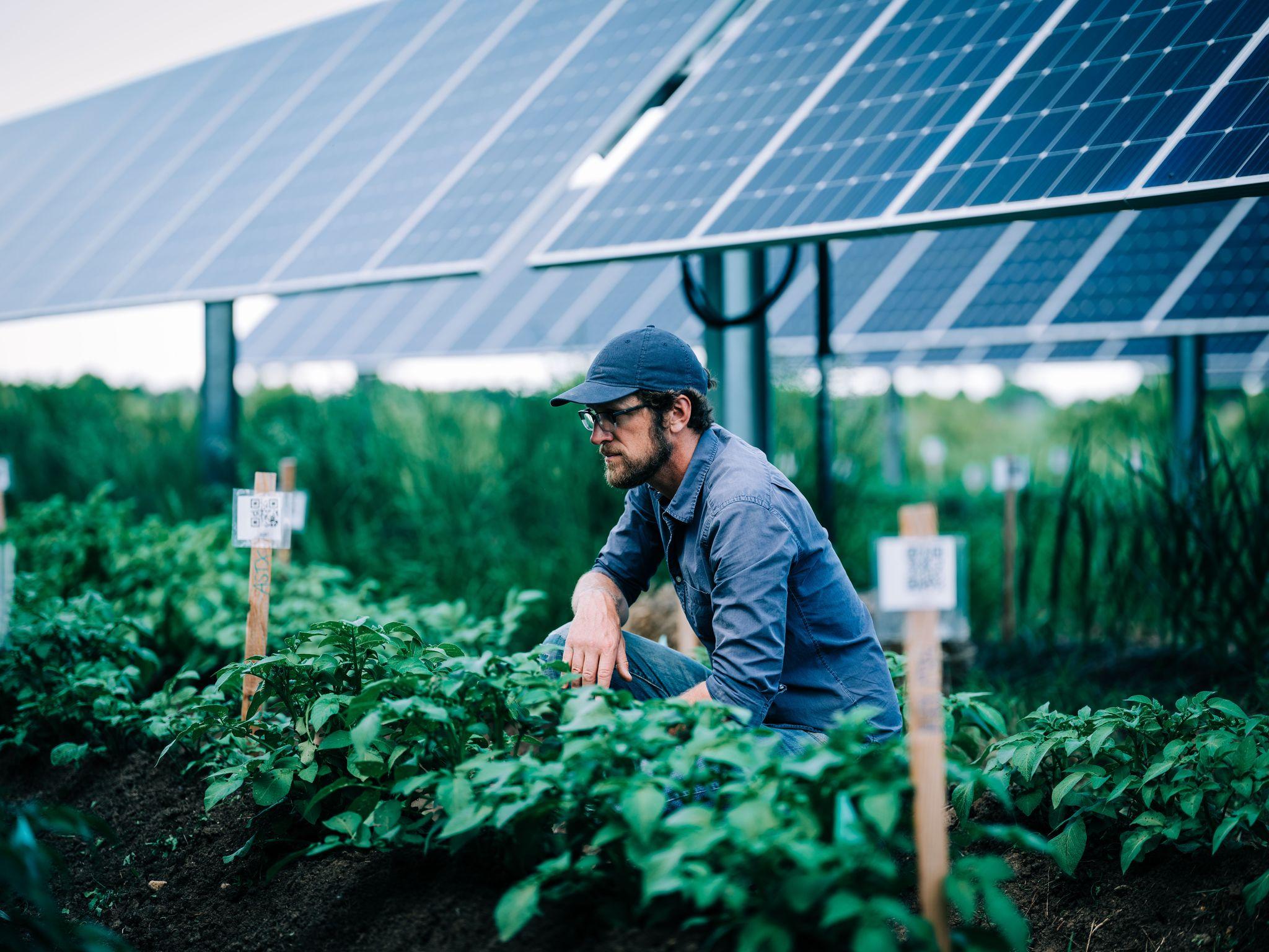 How Solar Power Saves Family Farms