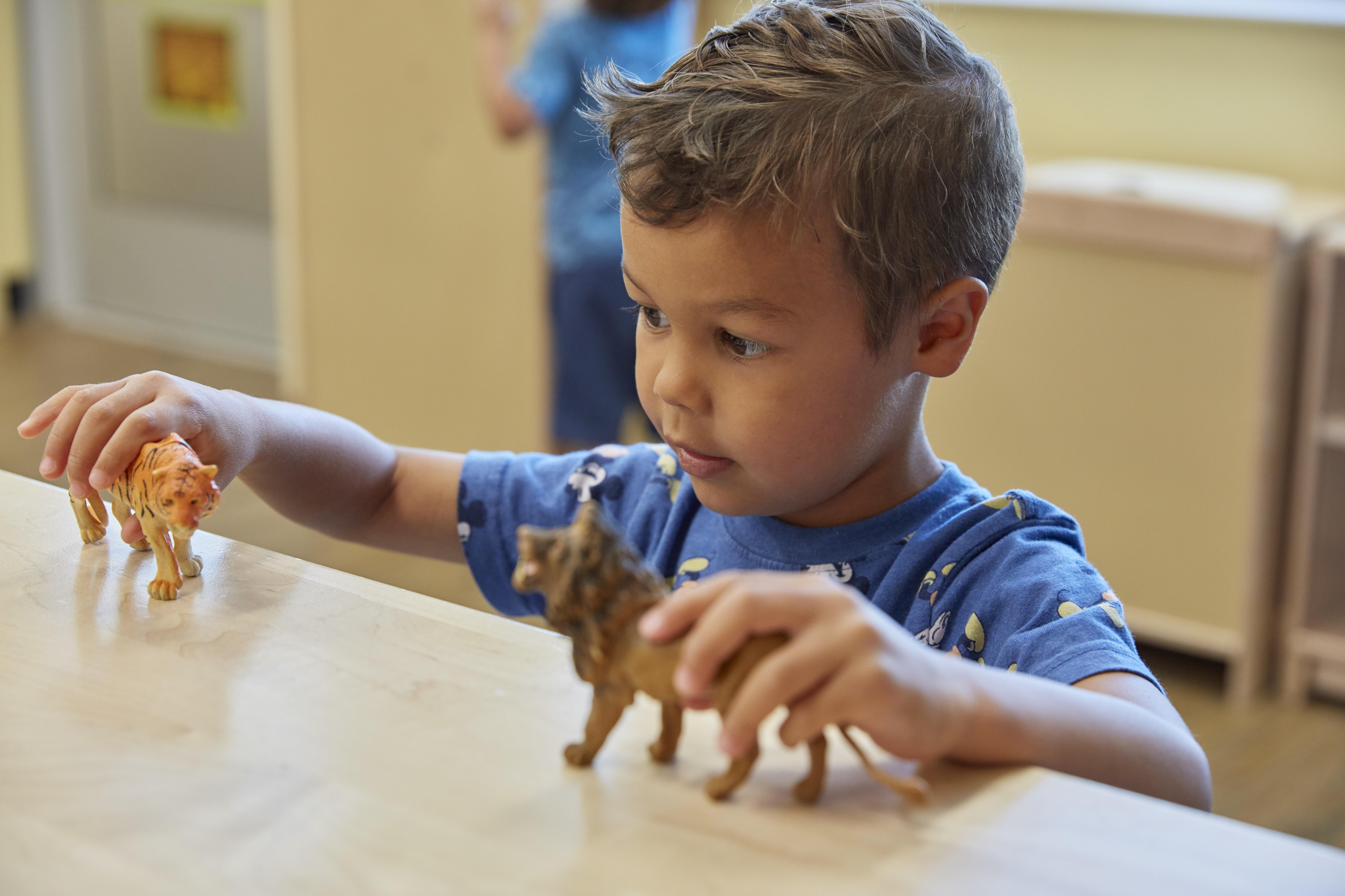 Tame the Toy Chaos Before the Holidays 