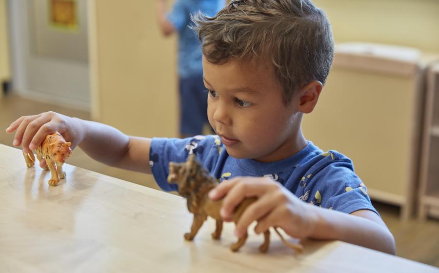 Tame the Toy Chaos Before the Holidays  Tame the Toy Chaos Before the Holidays