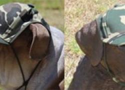 TRPupLid.jpg