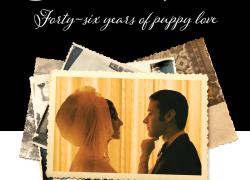 Forty-Six Years of Puppy Love – As Told Through Shiva Eyes