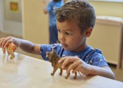 Tame the Toy Chaos Before the Holidays 